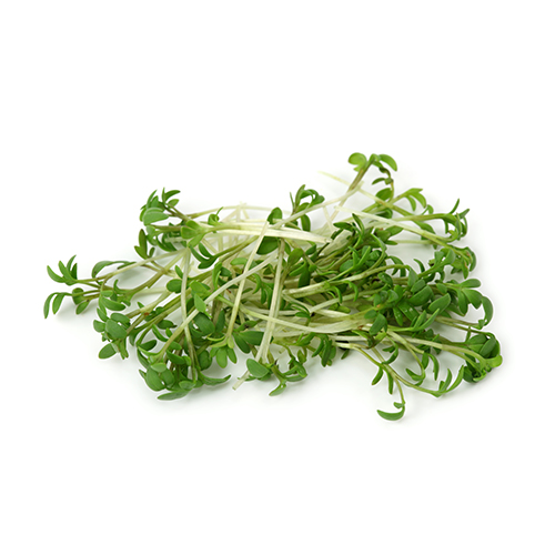 Garden Cress Sprout Extract