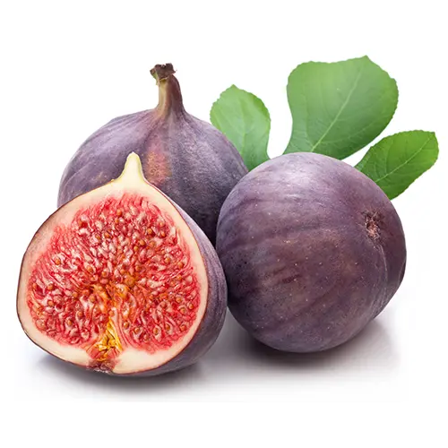 Fig