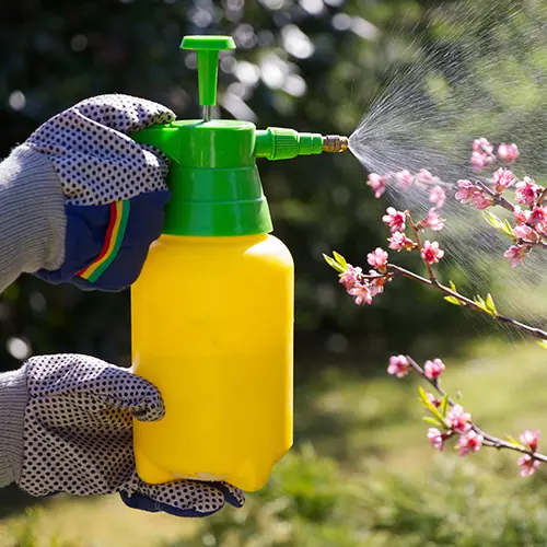 Glyphosate