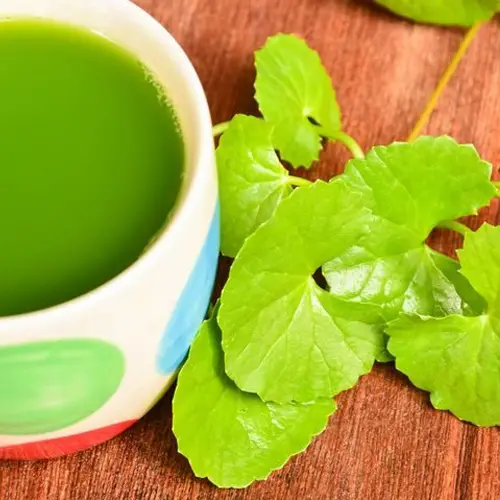 Gotu Kola