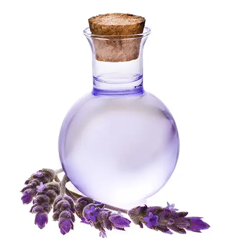 Lavender Oil