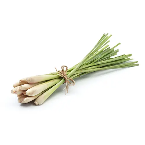 Lemongrass Extract
