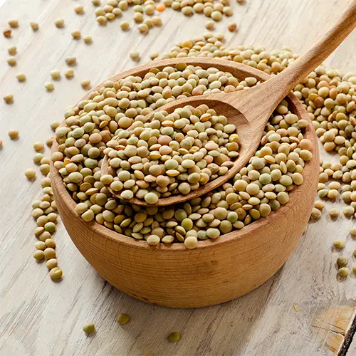 Lentil Fruit Extract