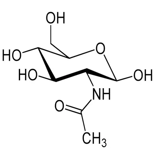 N-Acetylglucosamine