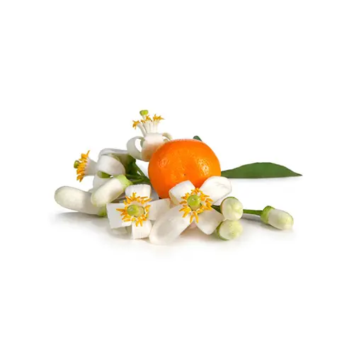 Neroli Oil