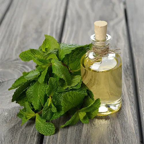 Peppermint Oil