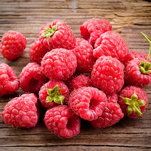 Red Raspberry Seed Oil