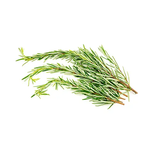 Rosemary