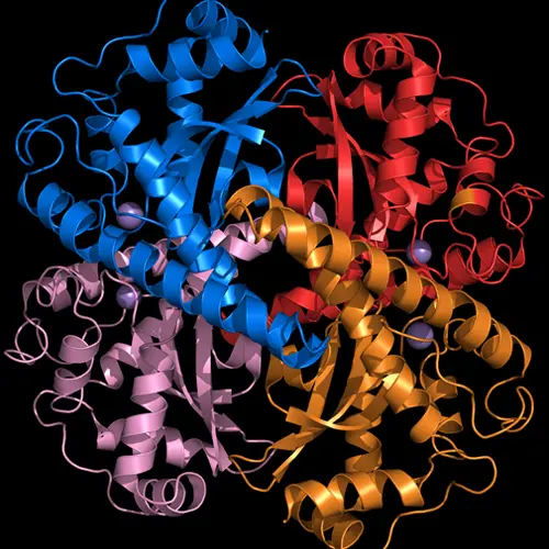 Superoxide Dismutase (SOD)