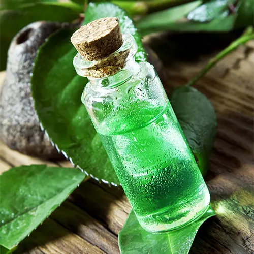 Tea Tree Oil