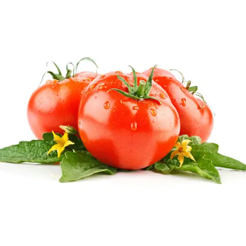 Lycopene