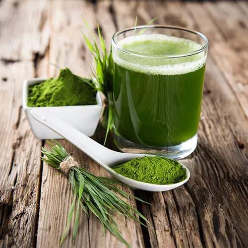 Wheatgrass Extract
