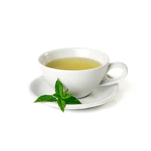 Camellia Sinensis (White Tea) Leaf Extract